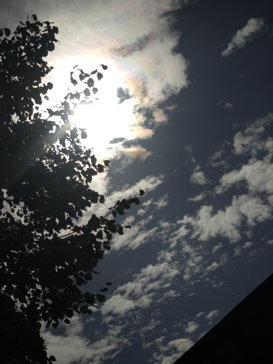NeferSanguine80's tweet photo. Amazing light right now in Bonn, Germany. The sun casts a fascinating colour play onto the clouds.... #clouds #sun #energy #sunlight #colors https://t.co/vxNTQxiXXB