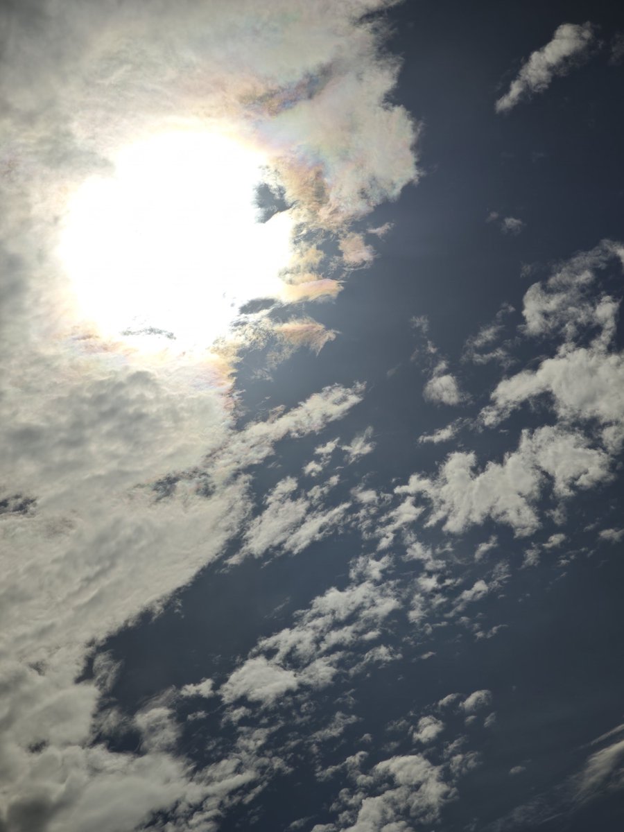 NeferSanguine80's tweet photo. Amazing light right now in Bonn, Germany. The sun casts a fascinating colour play onto the clouds.... #clouds #sun #energy #sunlight #colors https://t.co/vxNTQxiXXB