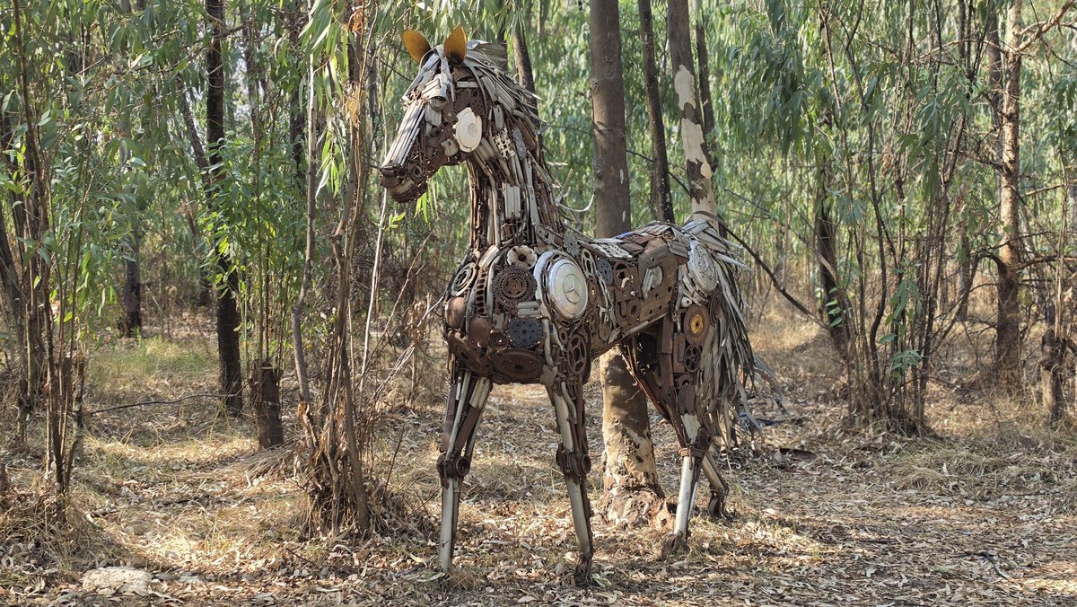 LinseyGallery's tweet photo. We are out and about today and we came across this magnificent piece of a horse.

Would you know where we can find it?? https://t.co/V1ramgG4jw