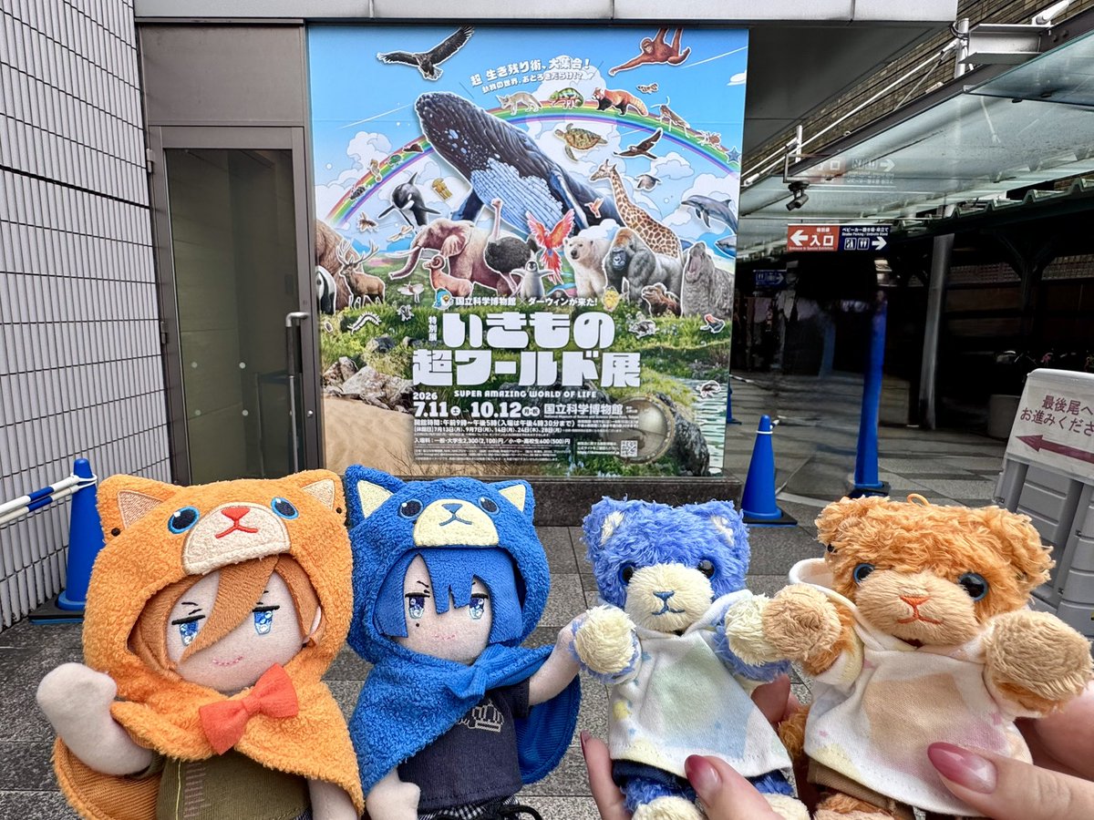 MST_2428291310's tweet photo. 本日のお出かけ。本物のシャチに会いに行くのは延期になったけど展示で見れてよかった😂国立博物館の常設展示にユキツバキの標本があった❄️🌸 https://t.co/IIF5oeHVSX