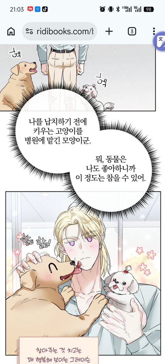 snou1874's tweet photo. Puppies stick with puppies, and kittens stick with kittens.🤲🏻🥺#디자이어미이프유캔 #DesireMeIfYouCan #DMIYC https://t.co/V9N2W1ZeAI