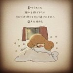 Photo by きしおかみさ子 ｜イラストレーター (@misako61)