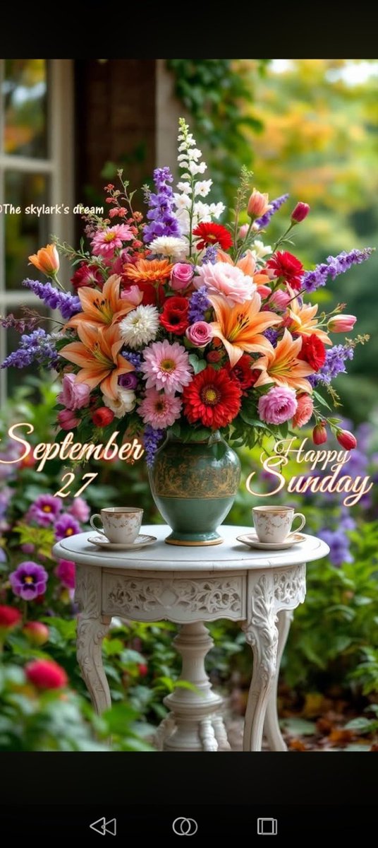 Luiza05041's tweet photo. @BursinGeorgia 100% https://t.co/Mrp7wfRCD6