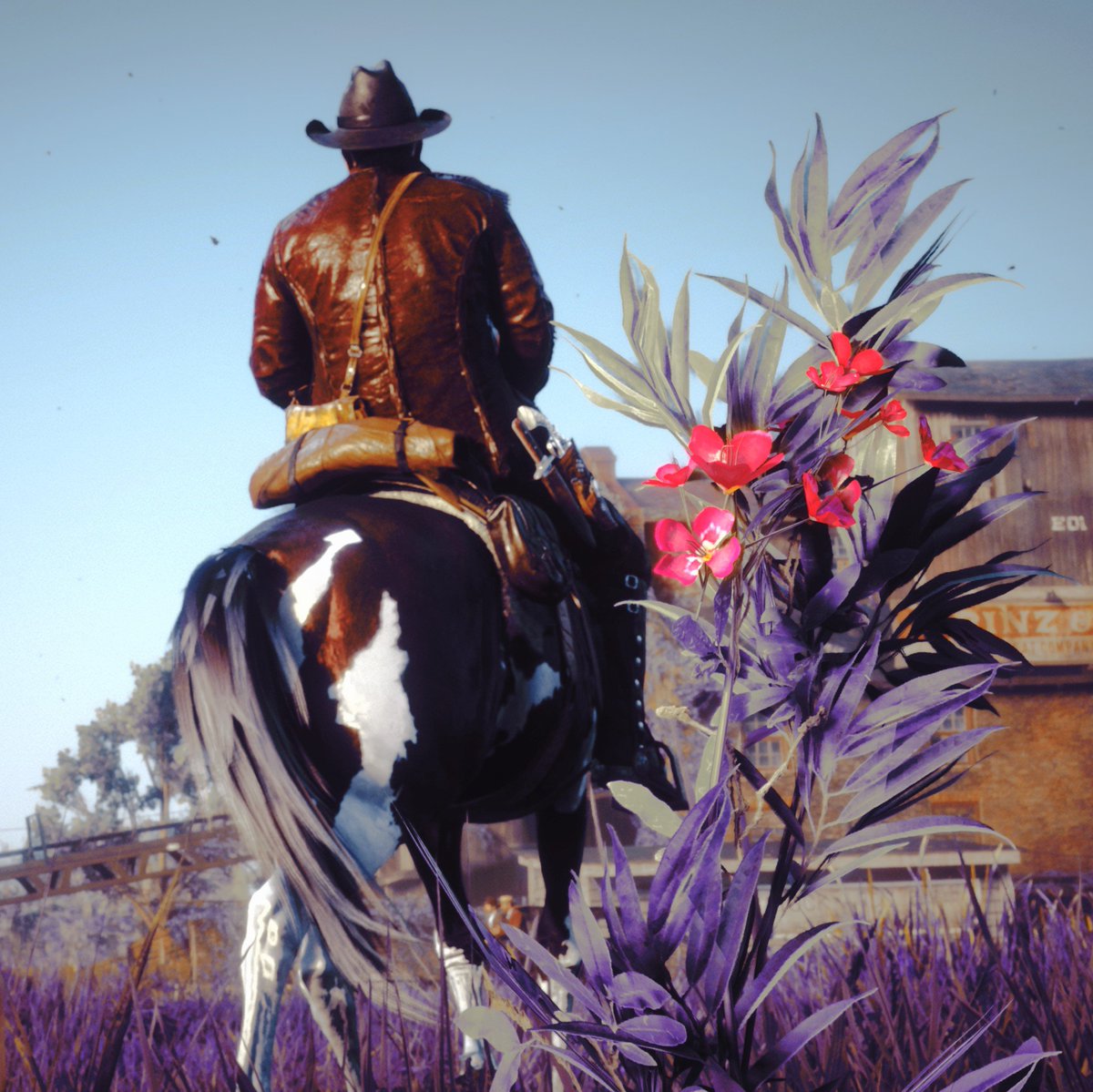 pandinovic's tweet photo. #RedDeadRedemption2 https://t.co/yY8f4zN8cF