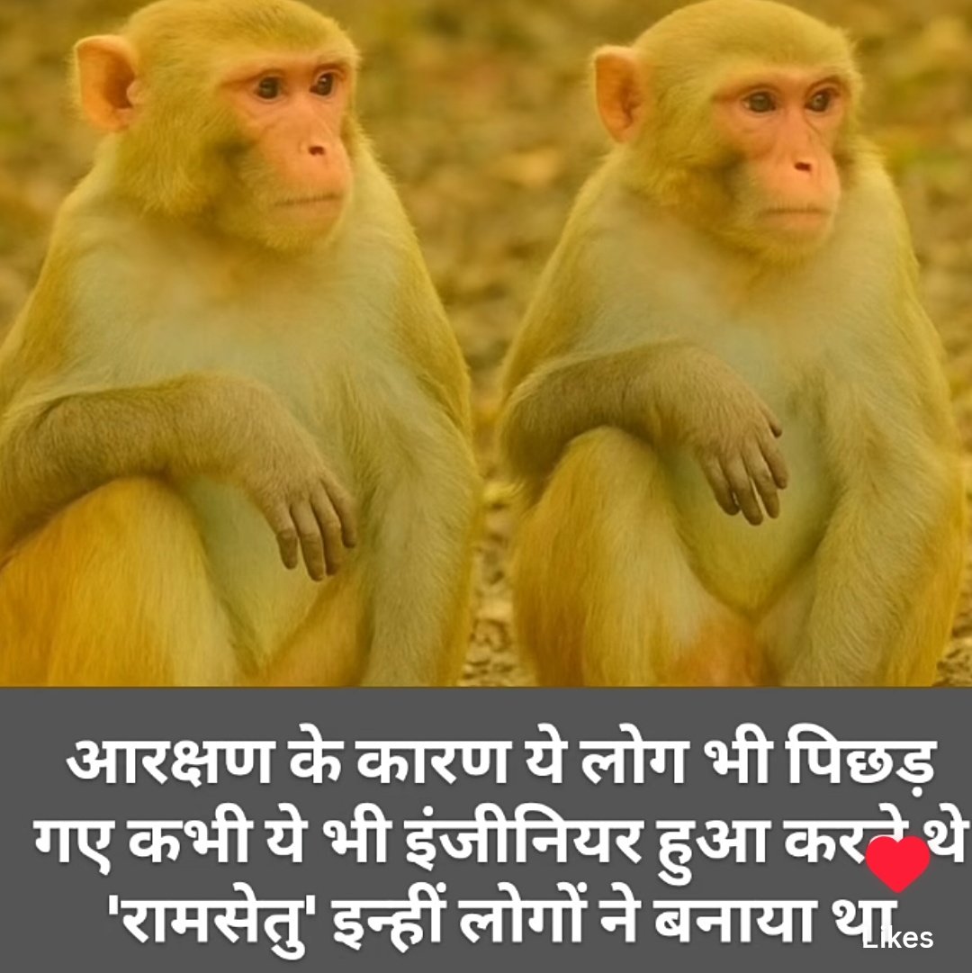 Sunil__chouhan1's tweet photo. @mktyaggi https://t.co/lJGDpMk7aA