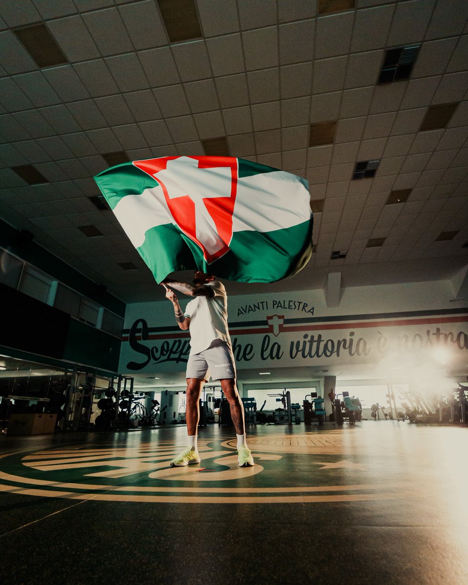 Palmeiras's tweet photo. Sentimento inexplicável 💚 https://t.co/VHEulaFXS3