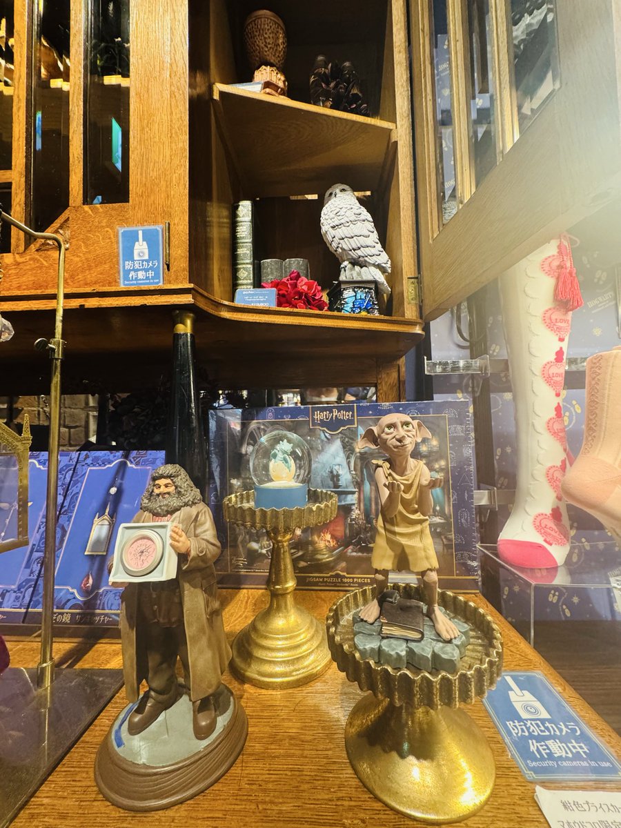 LOVE26255185's tweet photo. https://t.co/fR2I8yJQsJ
ハリーポッター🧙🪄✨マホウドコロ
親友のプレゼント探し🎁ひと目見た瞬間クルックシャンクスは決まり！
いろいろなアイテム選べて楽しかった♡ https://t.co/1dKMLFBHQF