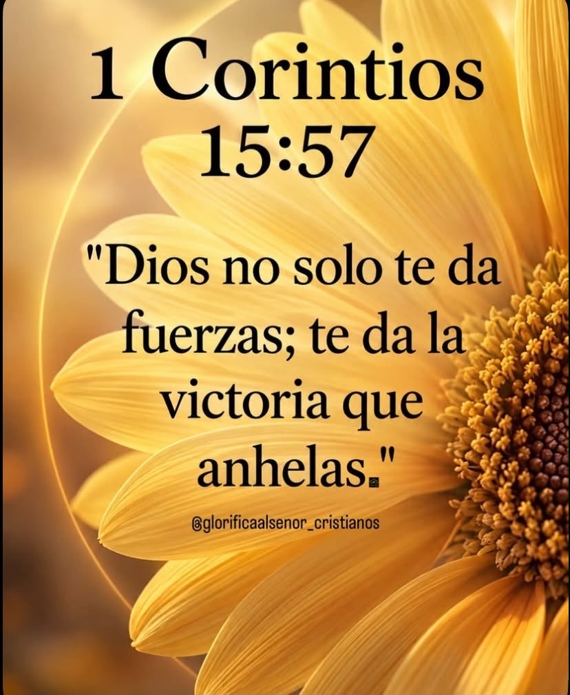 GaloLaraY's tweet photo. #FelizDomingo 🏆
Es un domingo de victorias, de puertas abiertas, de respuestas del cielo. Amén 🙏 https://t.co/MSKzqGZhBC