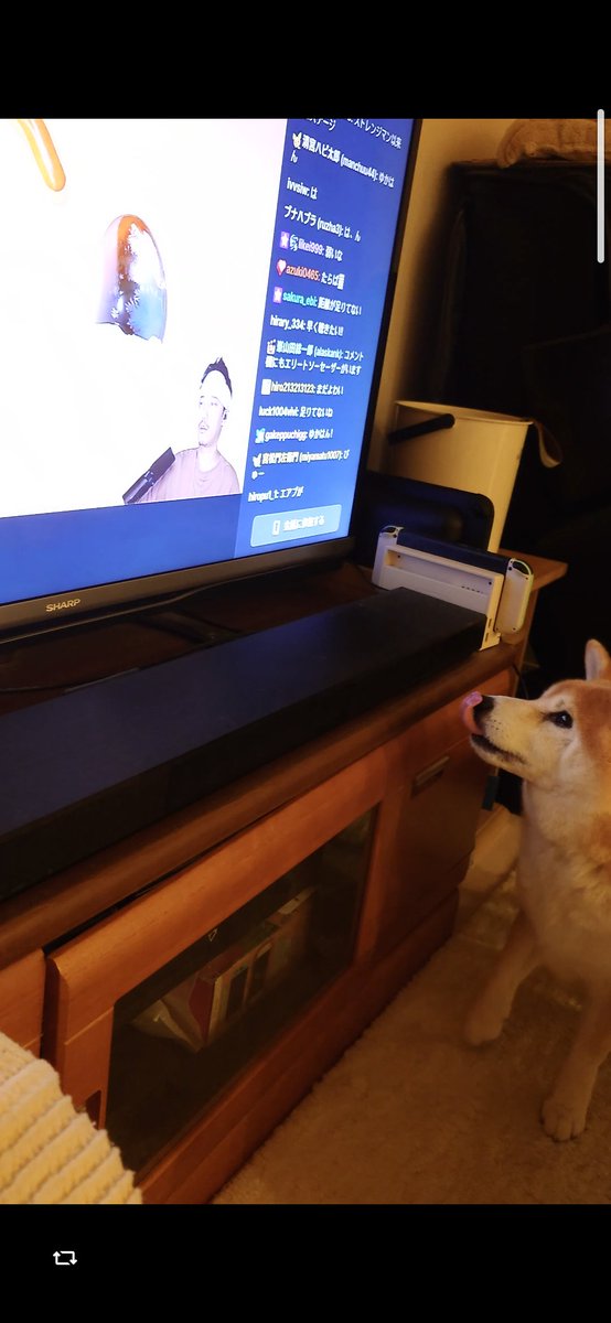 dragonj2kingdom's tweet photo. 布団ちゃんバカゲーフェス
ソーセージ目で追ってたw https://t.co/aCLKz1Ncei