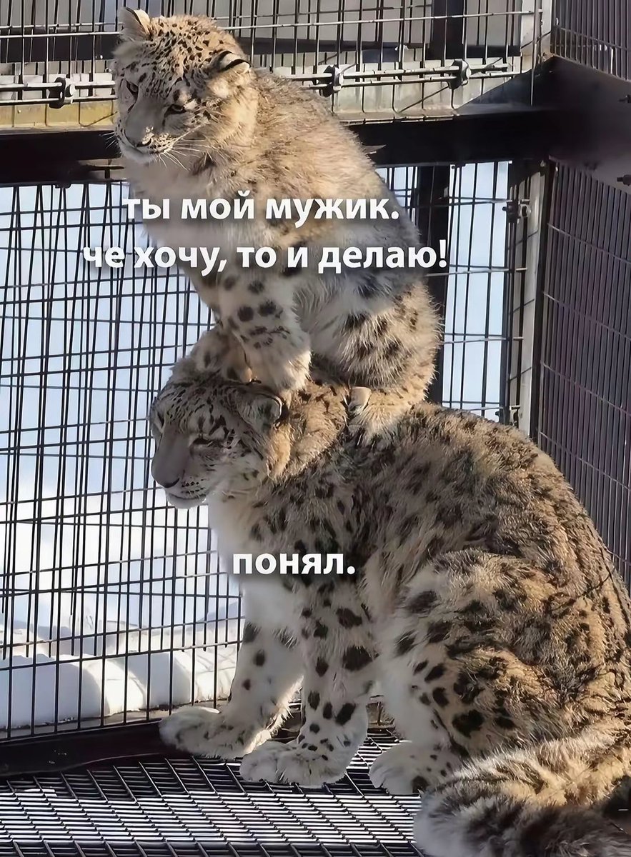 ya_ne_ars's tweet photo. они https://t.co/4mKgiwi91Z