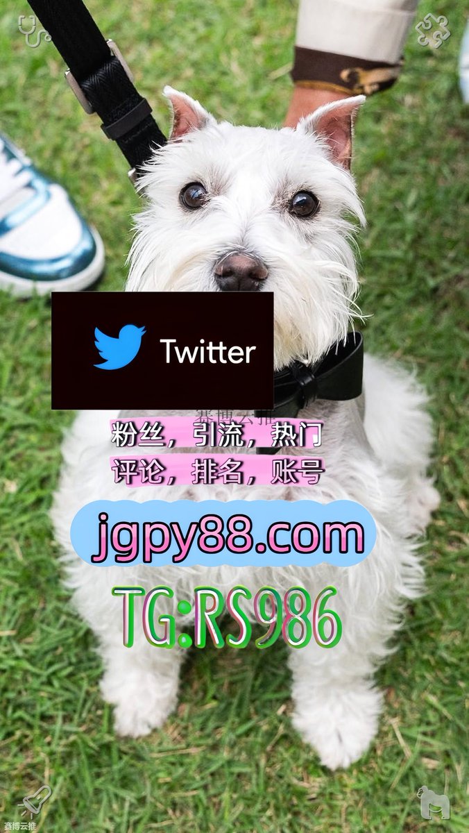safa3939's tweet photo. 生活最好的样子是内心安定眉眼带笑😣
推特账号购买评论截流🎉股票代码🌟辅助工具🔥品牌增长👍 
矩阵互动🌞輔助工具🌂 注册号 晋城推特账号
代发聊城蓬菜宁津 关键词霸屏🧳熱門🌈权重号🌟推特老号🍄定時發推💐
自动脚本安吉 批量发帖、多账号管理、推广营销🛢 https://t.co/c0HC9bVb8Q