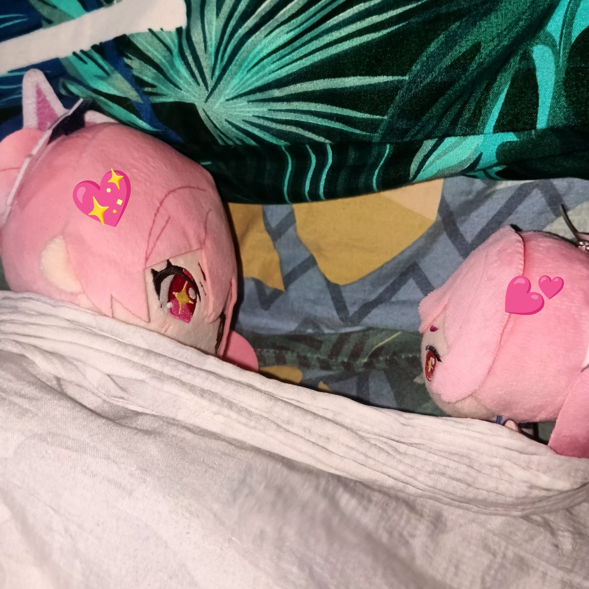 Iloveyoukoyuki's tweet photo. It's Sleepy time nihas 

Can't think of any sleepy niha thoughts 😔 https://t.co/zOyhgNrVwY