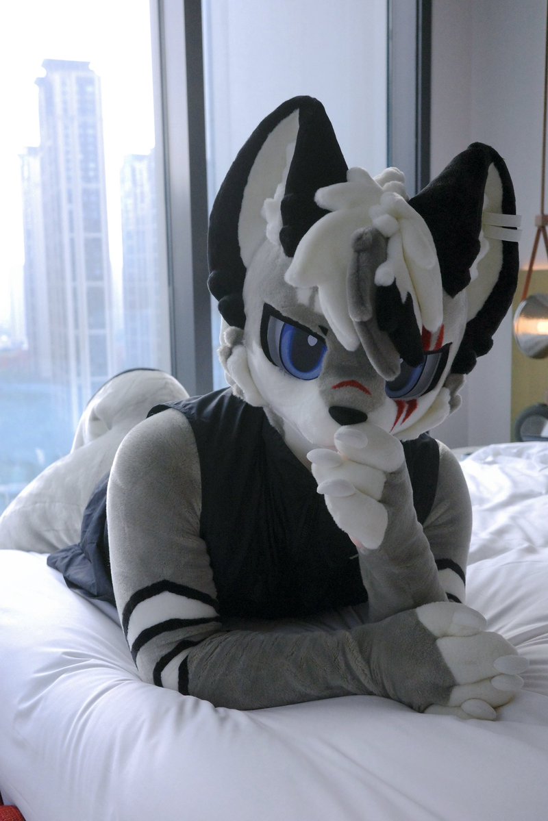 Kiritowolfski's tweet photo. 你好，我很酷，请给我钱
#furryㅤㅤㅤ https://t.co/wtLTD9liJ4