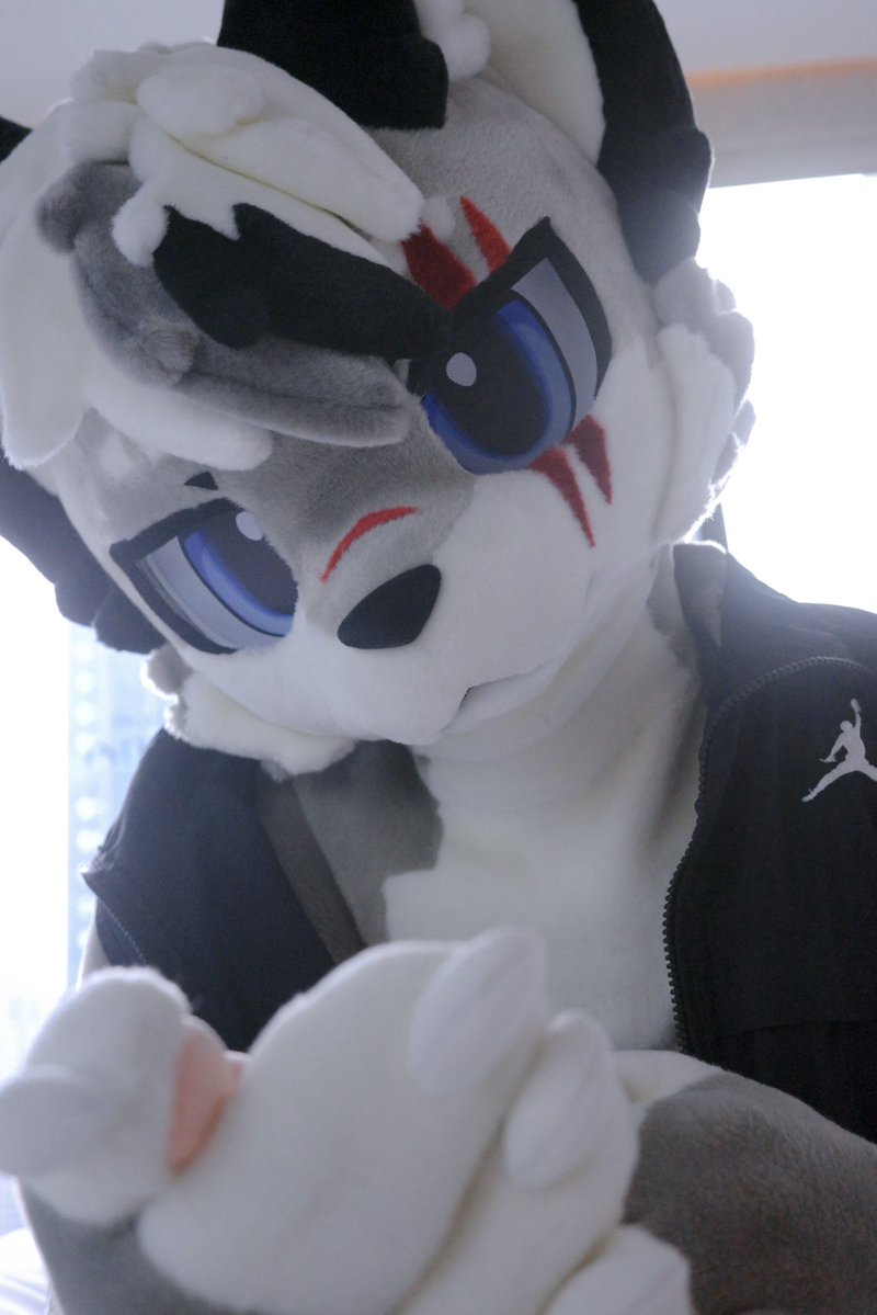 Kiritowolfski's tweet photo. 你好，我很酷，请给我钱
#furryㅤㅤㅤ https://t.co/wtLTD9liJ4