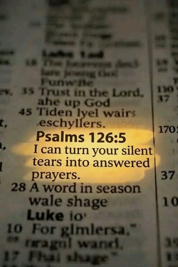 Realhybreed's tweet photo. Thank you my loving God
Psalm 126:5 https://t.co/eACo1Zb7bw