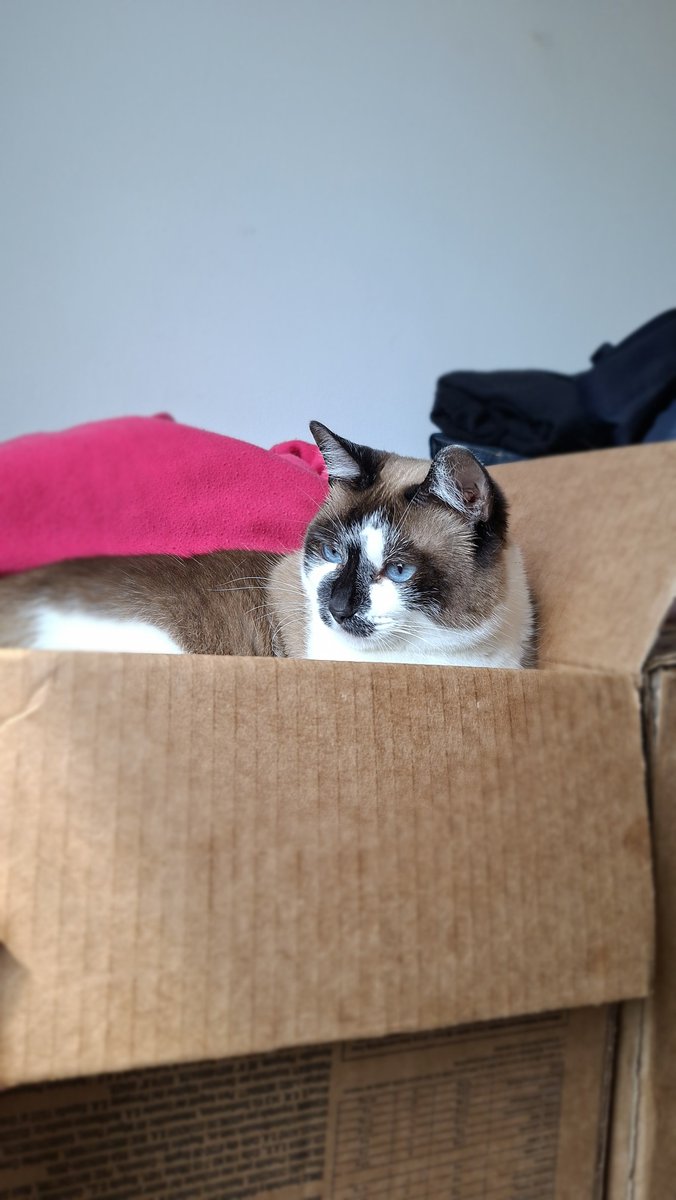 Lyaoinc's tweet photo. quem não der oi p hope vai ganhar 10kg em outubro 😠😠 https://t.co/o6IUuF9Mkf