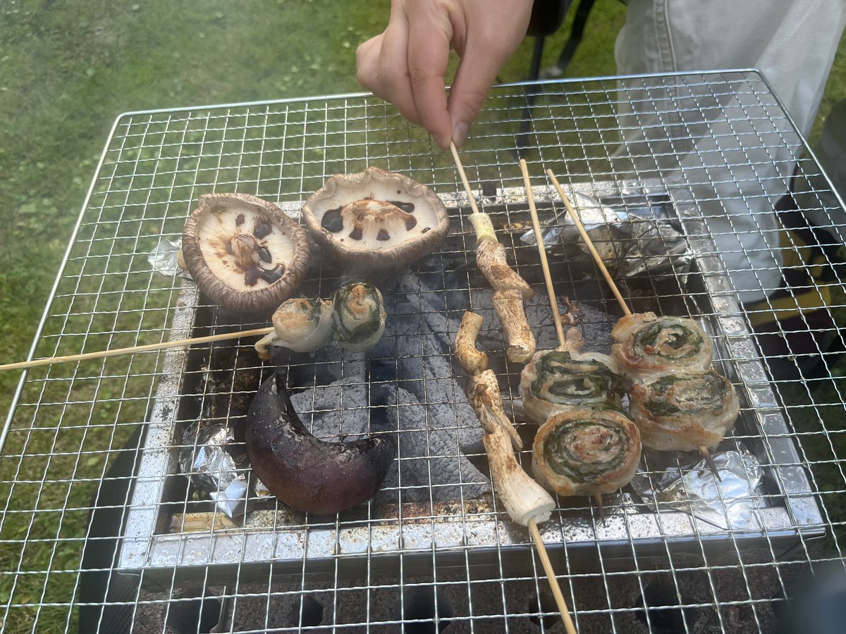 ritchel9's tweet photo. なんかのキャンペーンで当選した肉！
ずっと冷凍にしまって忘れてた。
めっちゃでかい。

庭に生えてたピーマン、ナスも収穫して焼いた。シソも収穫して豚肉巻きに！ https://t.co/MwM9buPks4
