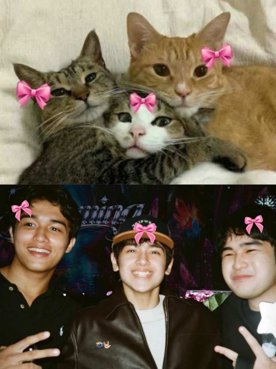 mikeJ260's tweet photo. ANG CUTE 😭💕💕💕

Fred-Heath-Miguel 

#HeathJornales https://t.co/8Sjjt44kZw