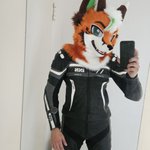 Photo by KexFox (@Kex_Fuchs)