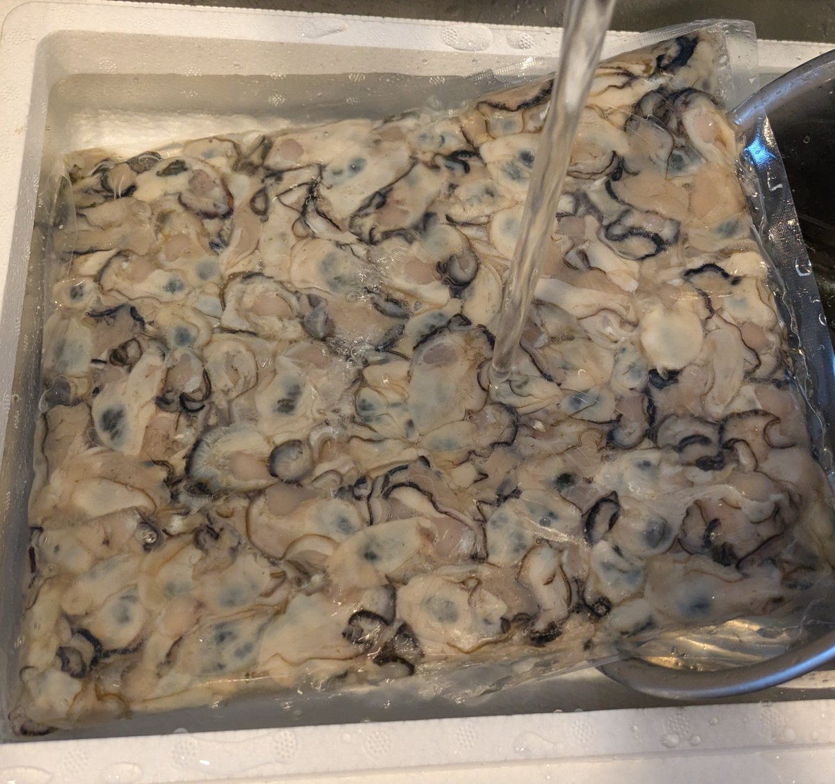 drawhale's tweet photo. 早々に広島牡蠣🦪を1キロを食す。カキフライ、牡蠣味噌汁、牡蠣カレー、牡蠣バター炒め、牡蠣めし…🫩 https://t.co/GVatHbIKuD