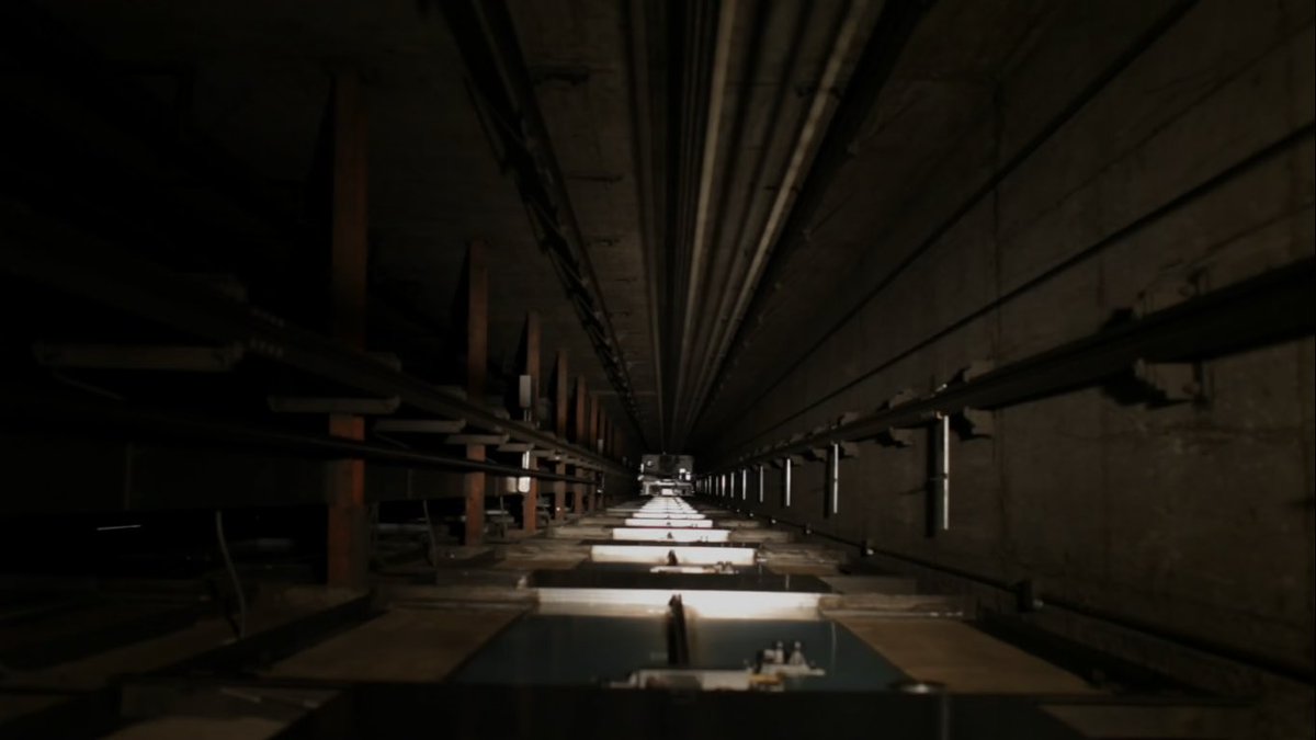 waystarbobco's tweet photo. The open elevator shaft is one of my favourite ones. https://t.co/M81j6mqnmX