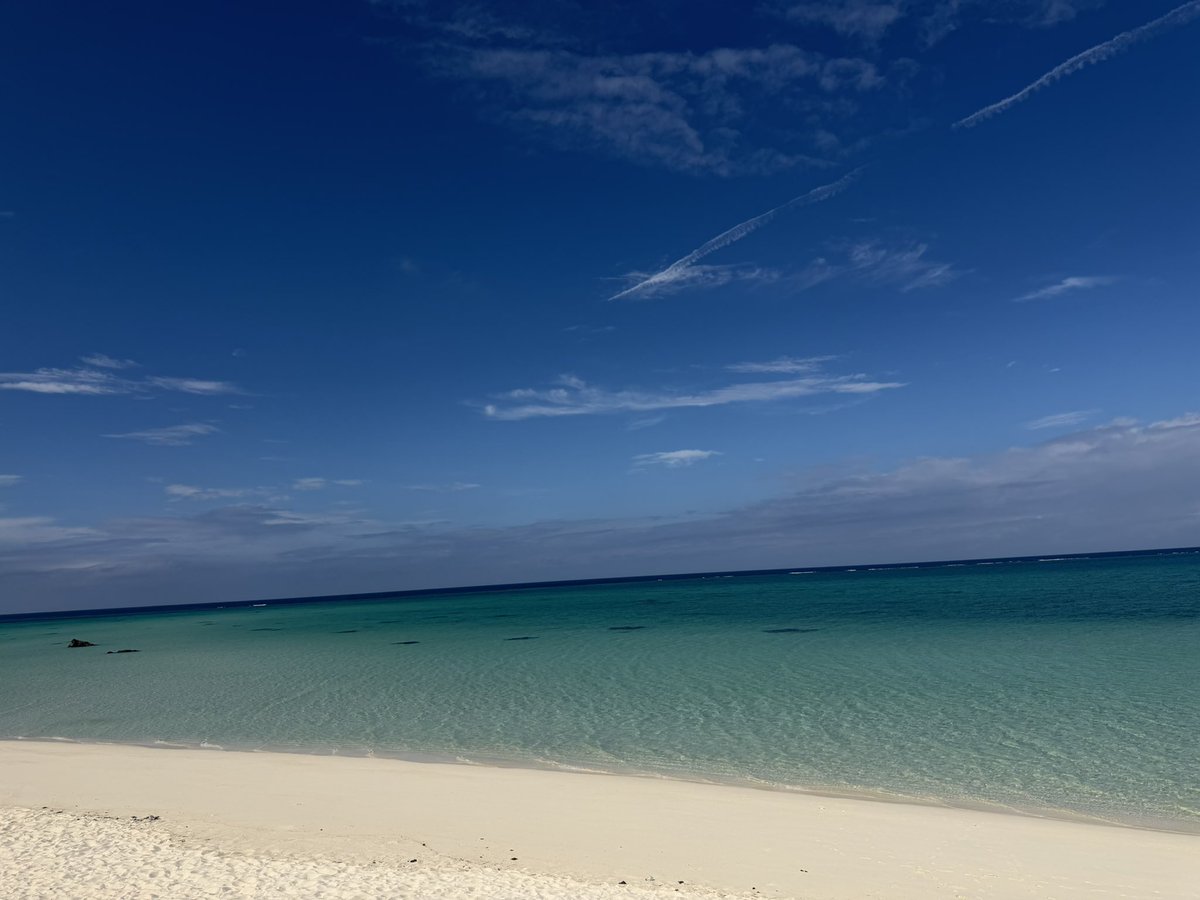 h_fwoy's tweet photo. 宮古島でカイオーガのポケふたGET
沖縄のご当地ピカチュウ強個体値だった
海はやばいくらいに綺麗 https://t.co/qcwdyHmx0x