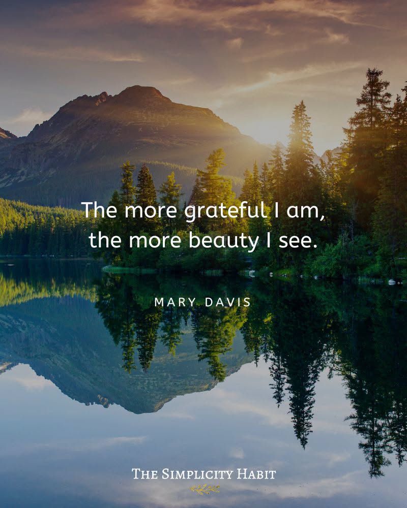ameliagreyauthr's tweet photo. Just a quick note to say I'm grateful for each and every one of my fans and followers! Have a lovely Sunday.

#grateful #sundaymood #sundayvibe #amreading #AmeliaGreyBooks #SayIDoseries #RegencyRomance #YouhadmeatHEA https://t.co/BbXFW84Gr1

📷 https://t.co/rrLZqaCDQp https://t.co/ZgzukfBpIM