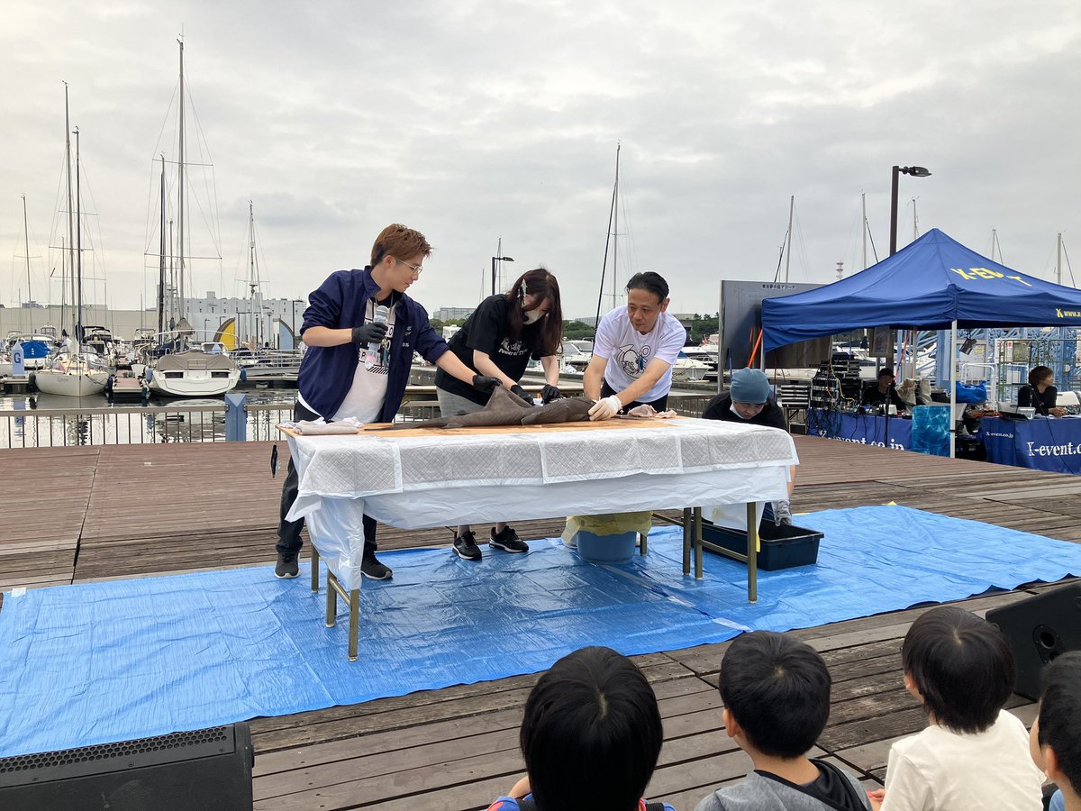nanukazame1's tweet photo. 2日間にわたって東京夢の島マリーナで開催された『エンジョイ魚まつり』にご来場いただいた皆様、ありがとうございました！

両日ともに、深海ザメの解剖ショーの解説役としてメインステージのトリに登壇する機会をいただきました！🦈

たくさんの方々に深海ザメの魅力をお伝え出来る貴重な機会をいただき、とても嬉しかったです✨️