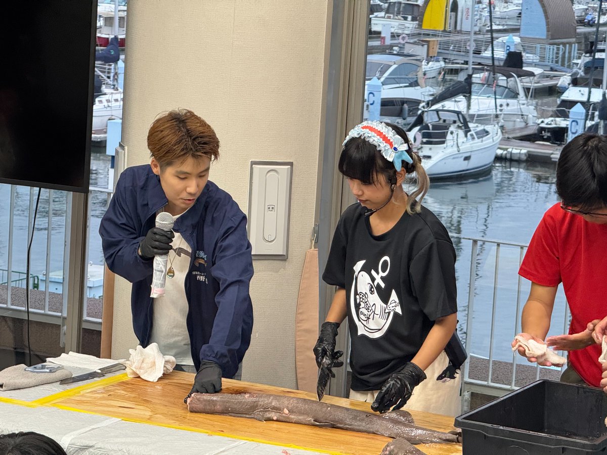 nanukazame1's tweet photo. 2日間にわたって東京夢の島マリーナで開催された『エンジョイ魚まつり』にご来場いただいた皆様、ありがとうございました！

両日ともに、深海ザメの解剖ショーの解説役としてメインステージのトリに登壇する機会をいただきました！🦈

たくさんの方々に深海ザメの魅力をお伝え出来る貴重な機会をいただき、とても嬉しかったです✨️