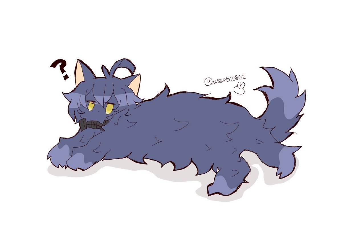 usaebi0802's tweet photo. 🐱❓
⚠️獣化 https://t.co/qD5xUSxKyH