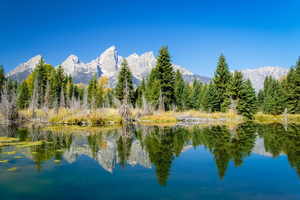 NewsWire_US's tweet photo. Trump officials consider building a baseball stadium in Wyoming's Grand Teton National Park — WaPo https://t.co/X85xfoi42g