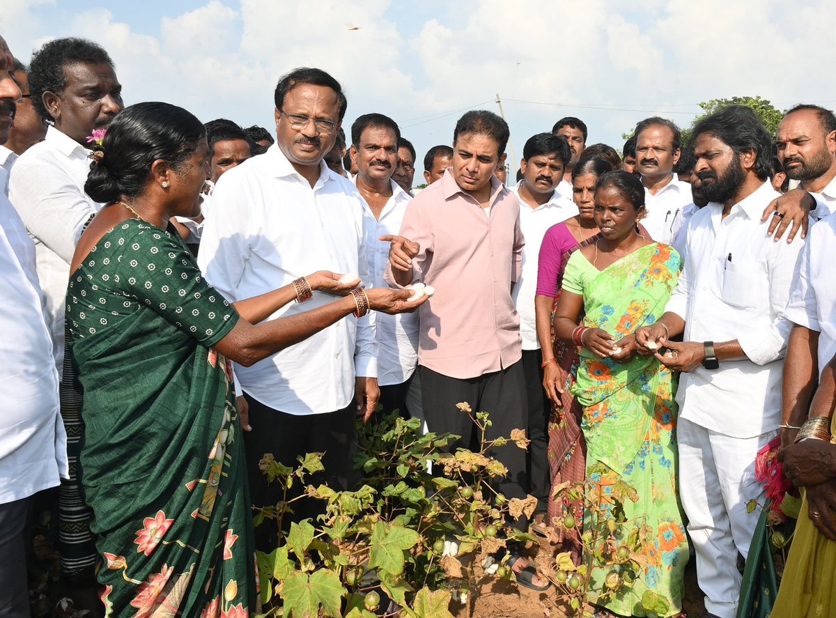 KTRBRS's tweet photo. Farmers are in distress and the Congress Govt is in deep slumber

On my way back from Kollapur, visited the cotton and maize fields in Nagar Kurnool that are drying up for lack of water & erratic power supply 

The sole responsibility for this is the Congress Govt’s criminal negligence in utilising Krishna waters

There’s more than enough water in Srisailam but Congress doesn’t want to pump this water to the farmers fields