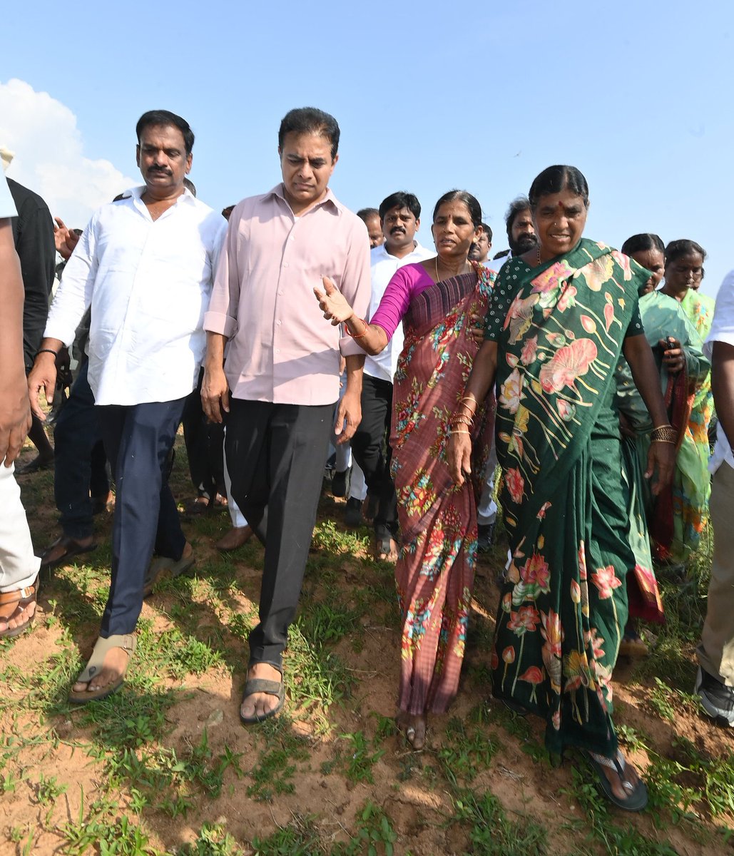 KTRBRS's tweet photo. Farmers are in distress and the Congress Govt is in deep slumber

On my way back from Kollapur, visited the cotton and maize fields in Nagar Kurnool that are drying up for lack of water & erratic power supply 

The sole responsibility for this is the Congress Govt’s criminal negligence in utilising Krishna waters

There’s more than enough water in Srisailam but Congress doesn’t want to pump this water to the farmers fields