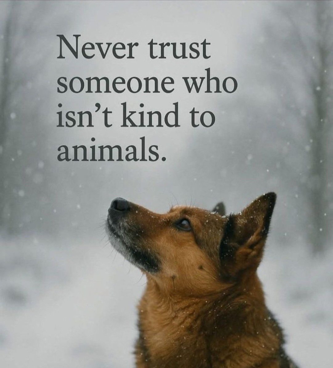 schiefer_laura's tweet photo. https://t.co/QEBG4pB11l