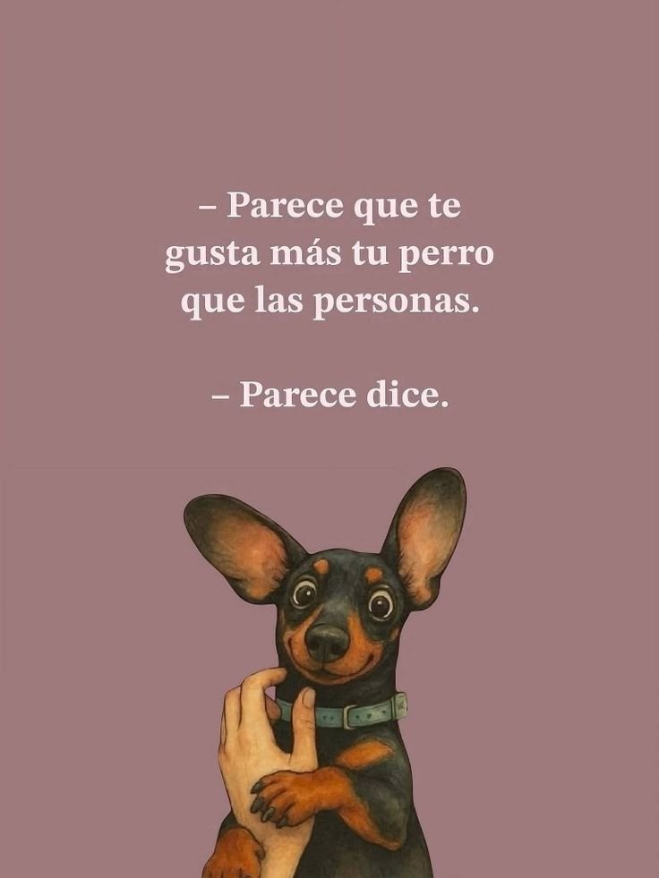 rey_latino33087's tweet photo. https://t.co/Eywqc7uoNv