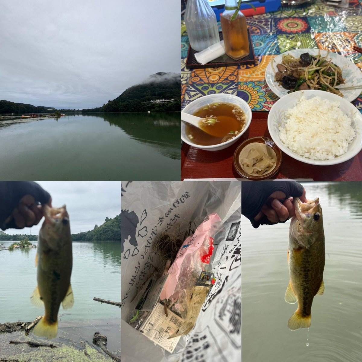 junaono's tweet photo. 久しぶりのおひとり様釣行はスイパクチャレンジで2匹と豆＆粉3匹の計5匹のバスが釣れました☺️
途中釣���さんとも御一緒させて頂き有意義な時間が過ごせました😁
釣りが出来る環境に感謝しながら釣りゴミ回収🗑👋🏻
#bassfield
#釣り人が居れば水辺は綺麗になる
#アングラーズプロジェクト 
#津久井湖 https://t.co/EQ1EgWDvoQ