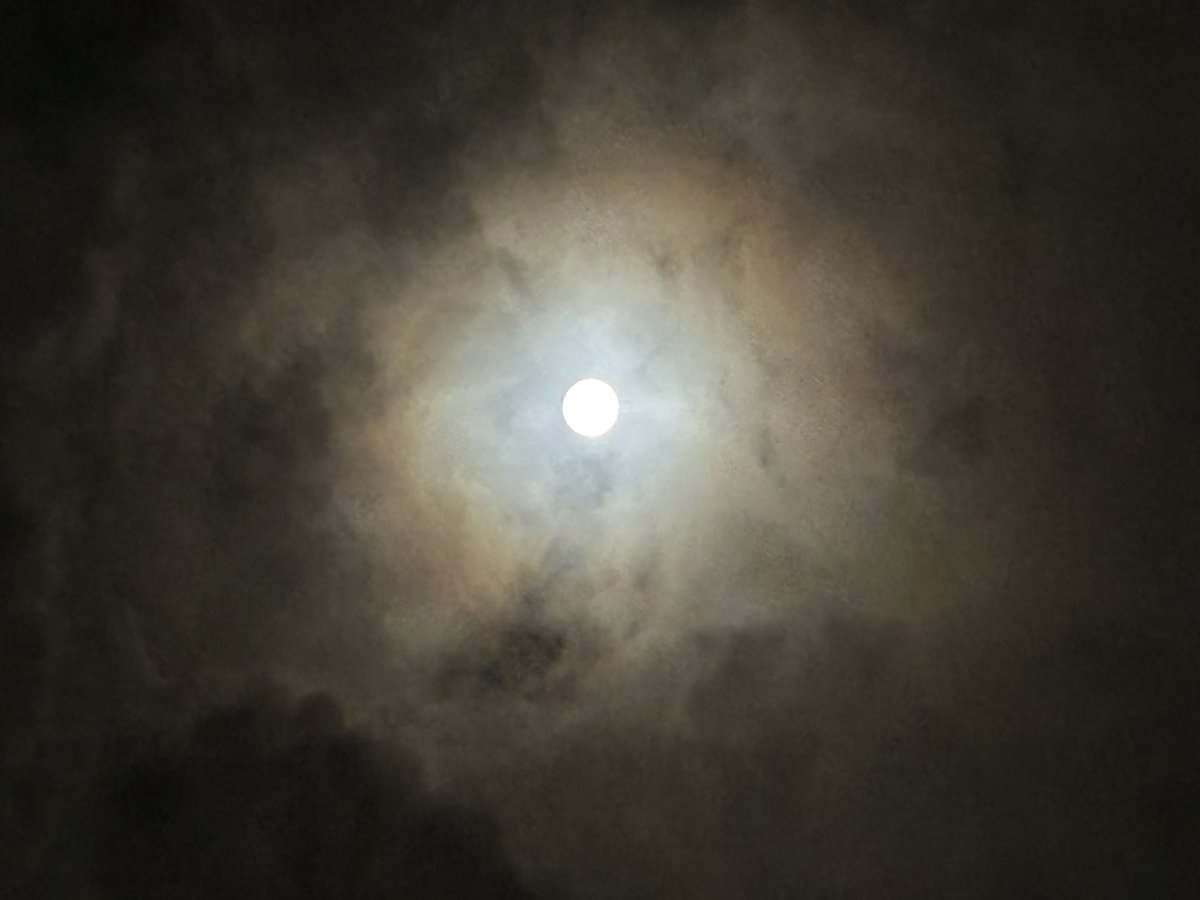 sumire0336's tweet photo. 牡羊座満月でしたね🌕✨

←普通撮り   ナイトモード→ https://t.co/3DQu0PhEhv