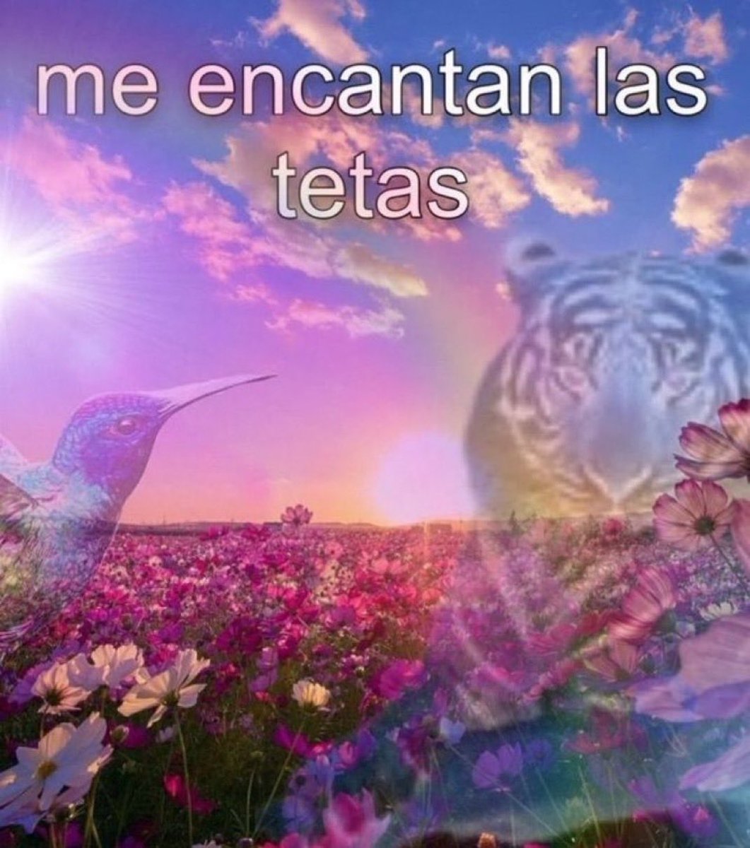 skereunpesado's tweet photo. https://t.co/ojJtVVeyOF