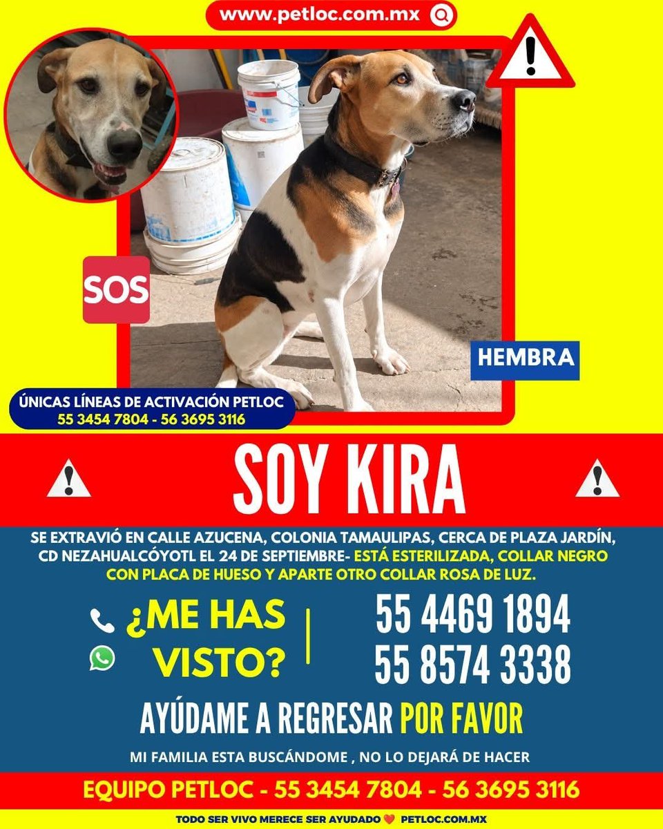 VIBRAmascotas's tweet photo. #rt #sos #comparte https://t.co/NHEvKxnVAR