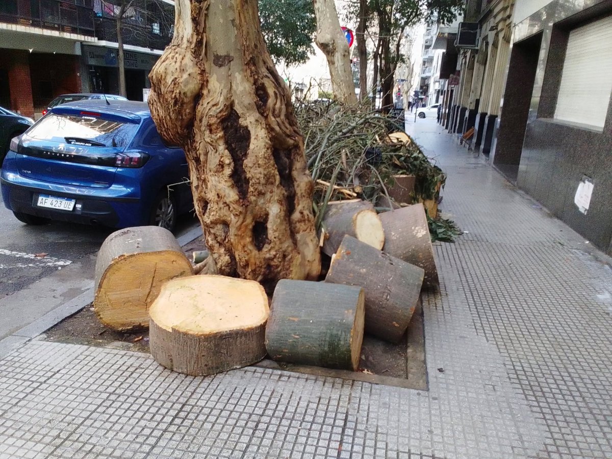 SuperpibaAr's tweet photo. Chicos están tirando un montón de banquetas nórdicas en el barrio de Once https://t.co/Sd27O9C4BI