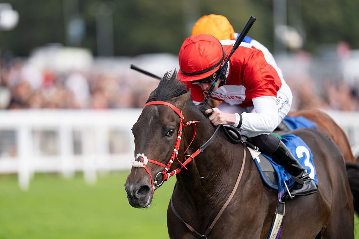 Archie_Watson's tweet photo. ⭐️ ROGUE IMPERIAL⭐️

Rogue Imperial shows a great attitude to record back-to-back victories at Epsom this afternoon under Rossa Ryan. Many congratulations to his owners @Roguesracing_ 🏆

#ArchieWatsonRacing https://t.co/Pxsq3swaiw