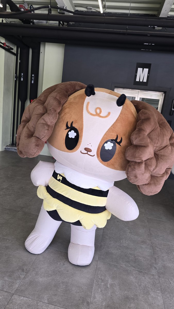 dlfhgk1's tweet photo. Vimmy is literally Mim 2.0 😭😭🤏🏻🤏🏻
#mimrattanawadee https://t.co/D9b4JZeKNM