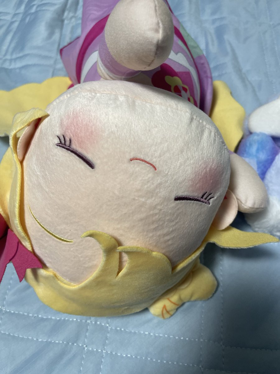 pri_no_katiku's tweet photo. 【ご報告】

ウン千円かけていのりちゃんすやすやぬいぐるみゲット致しました！

めっちゃ可愛ええ…꒰⌯͒•·̫•⌯͒꒱
🥹🥹🥹 https://t.co/1SGxMVJXEg