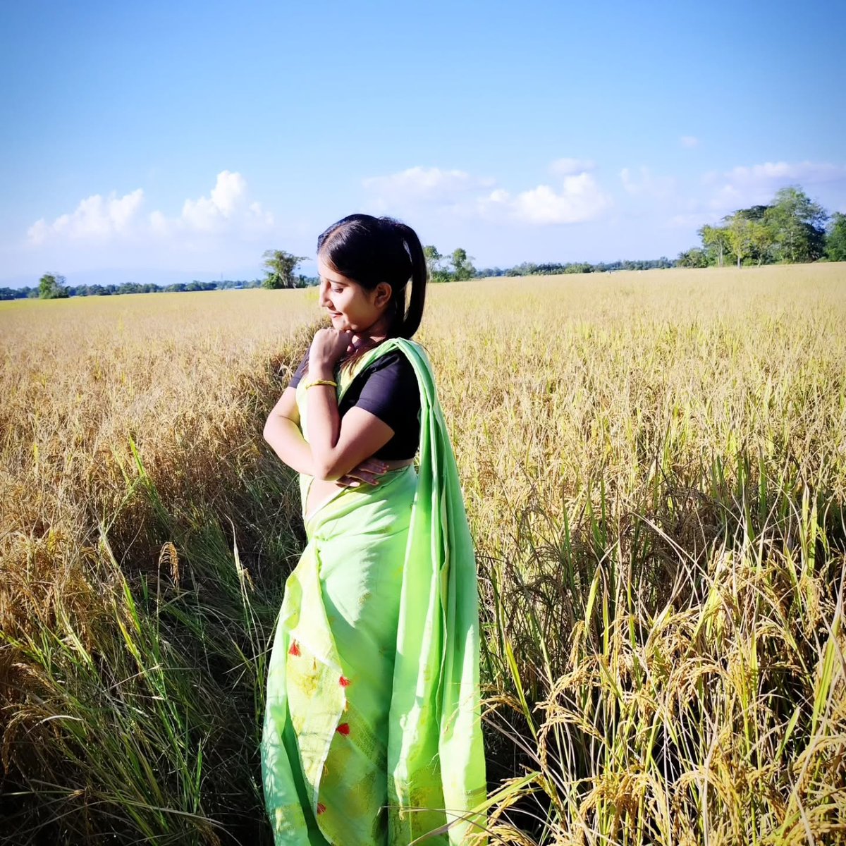 KentDubaldclo's tweet photo. Diyana ফুল is completely yellow. https://t.co/IfiUFSBiry