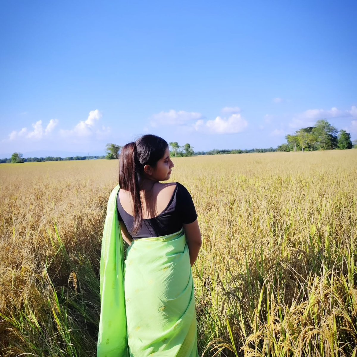KentDubaldclo's tweet photo. Diyana ফুল is completely yellow. https://t.co/IfiUFSBiry