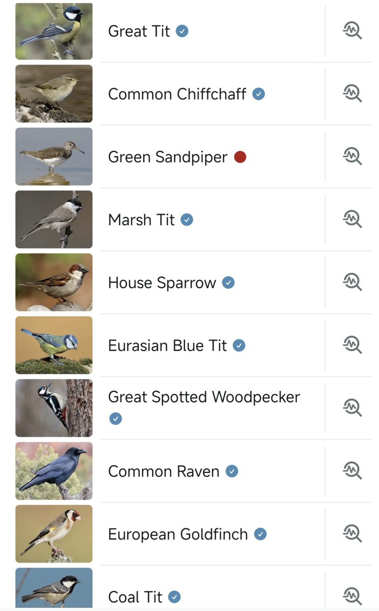 folkfinch's tweet photo. left sound id on when napping outside^_^ https://t.co/A30jtuqrL0