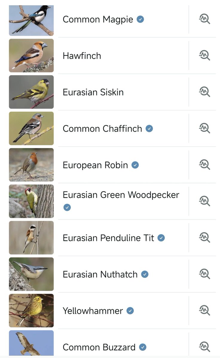 folkfinch's tweet photo. left sound id on when napping outside^_^ https://t.co/A30jtuqrL0