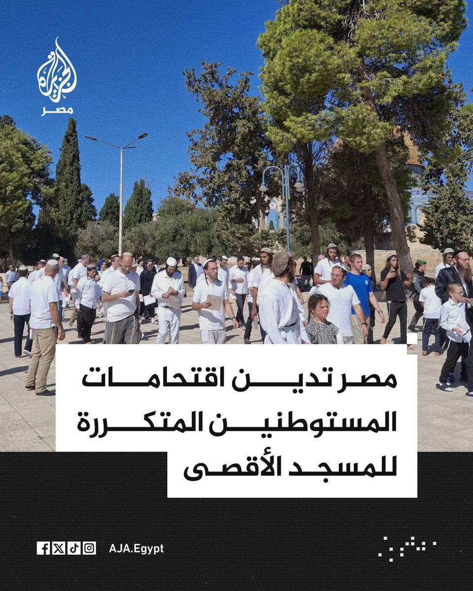 AJA_Egypt tweet picture