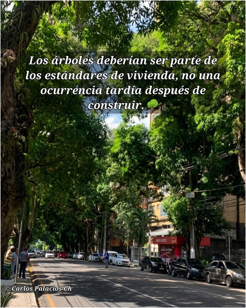 alvarogonzalezu's tweet photo. https://t.co/OHY6mOotW3