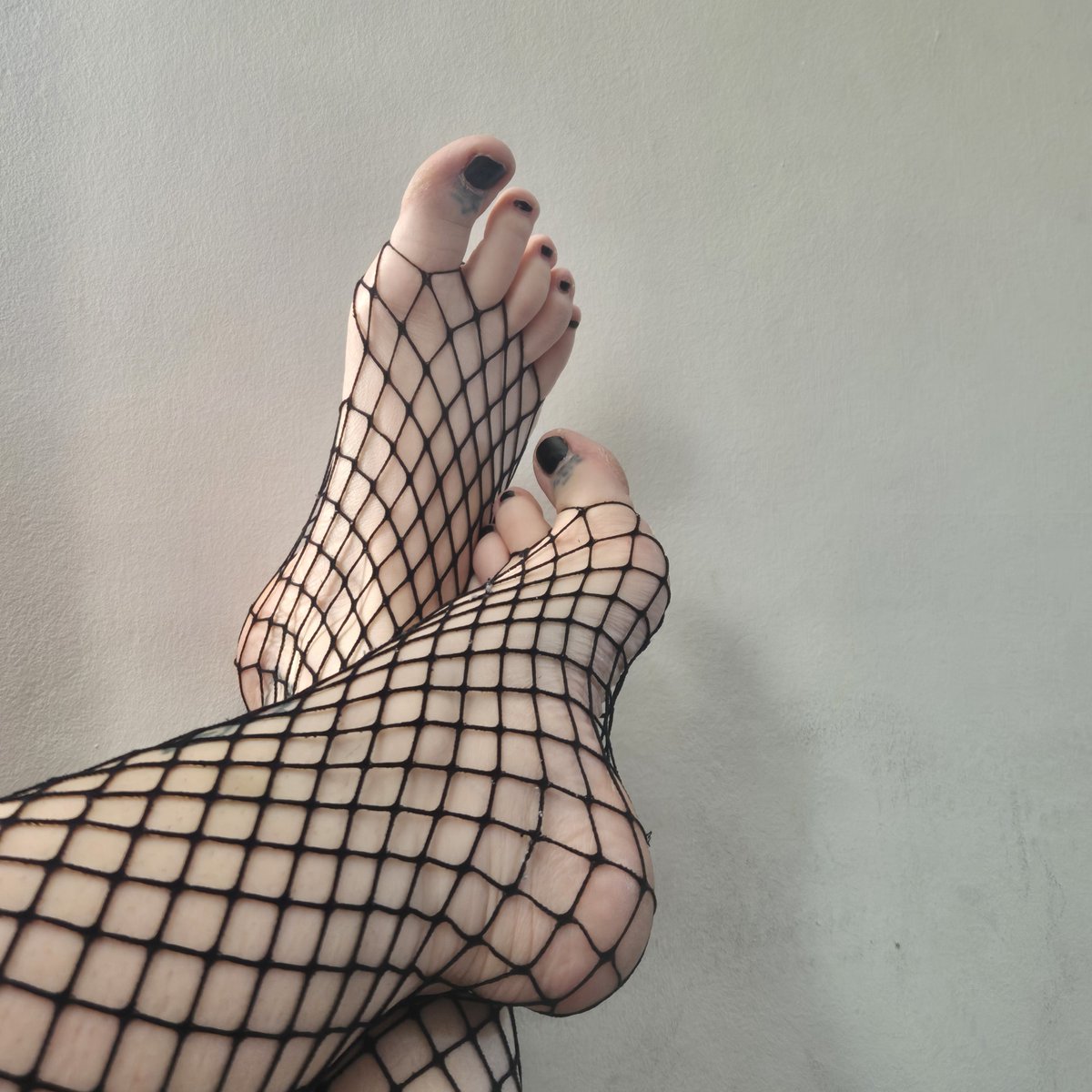 bbbaileybbb's tweet photo. Who wants to worship some goth feet in fishnets? 

https://t.co/DRAA0QRY9q

#onlyfans #feet #feetpics #gothfeet #fishnet #footporn #cutetoes #footfetısh #feetfetısh https://t.co/ldeW62iDRk